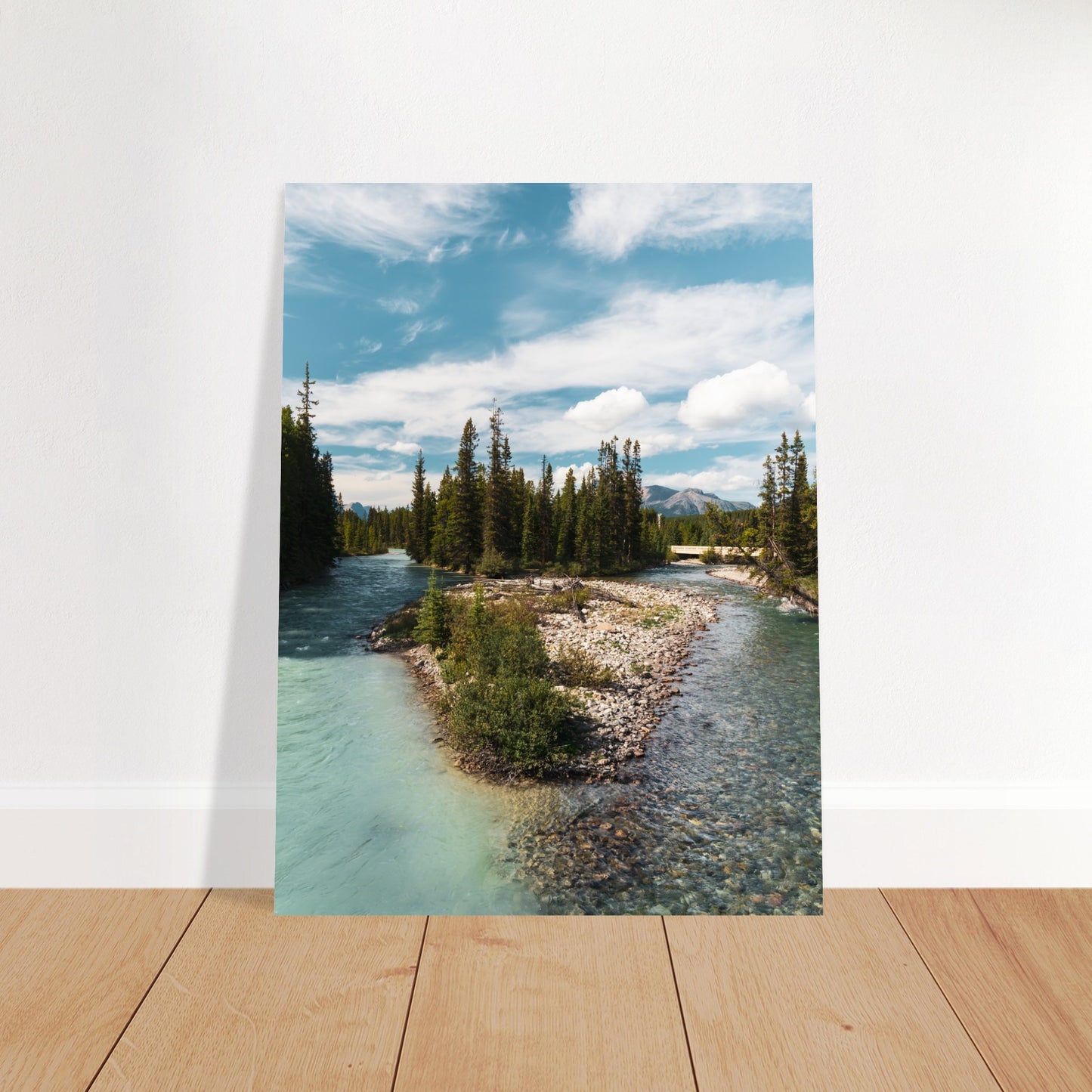 8ffd2376-2c2b-4a42-8c70-e1e84e981276